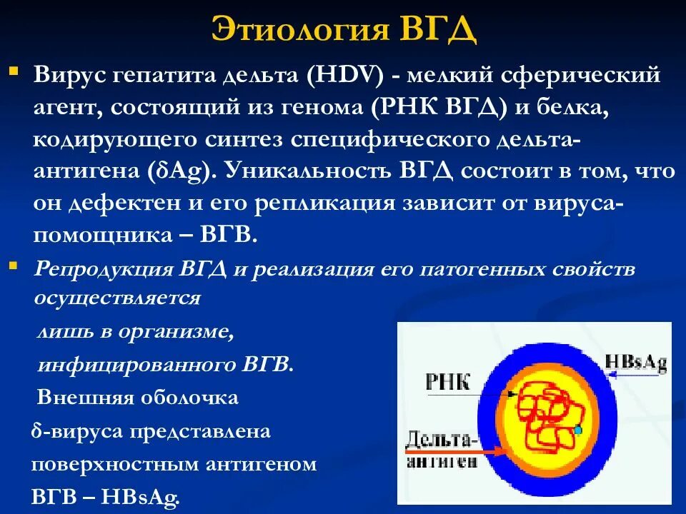 Этиология гепатита. Гепатит с этиология. Этиология вирусных гепатитов. ВГД мкб. Описать гепатит этиология.