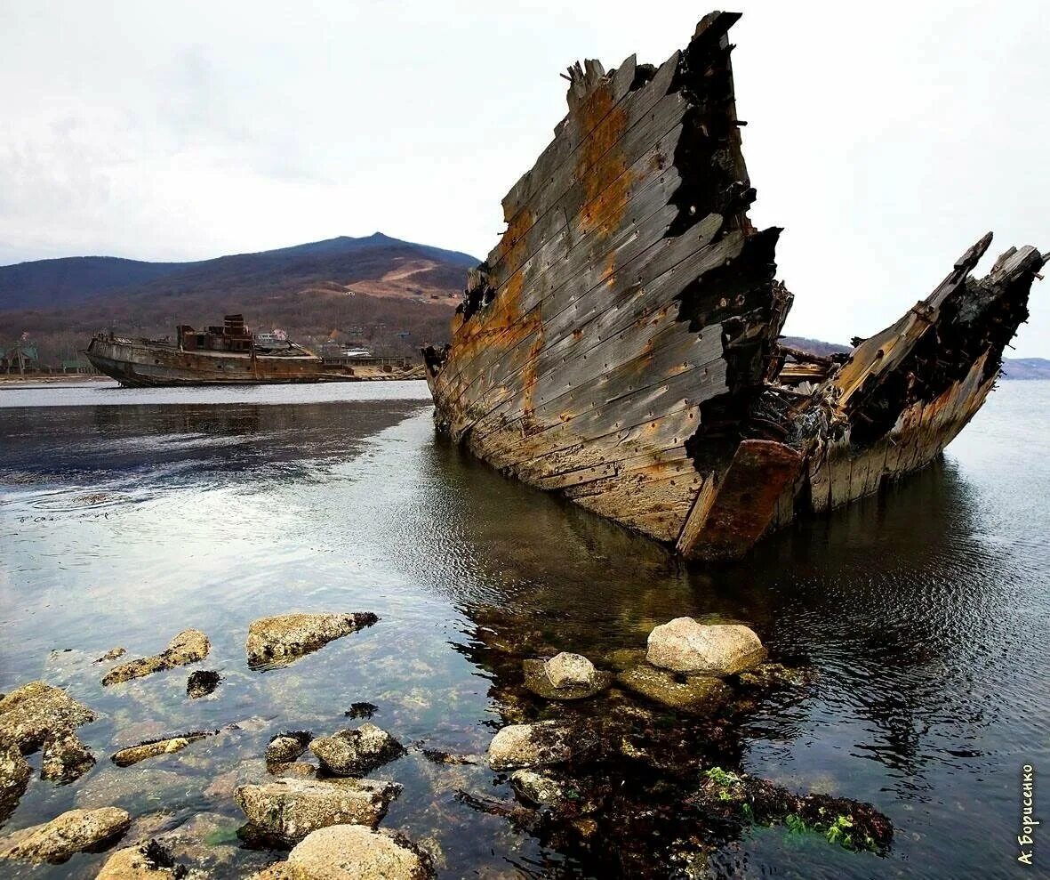 Погода южный приморский край. Бухта Посьет Приморский край. Полуостров Гамова бухта Витязь. Залив Посьет японское море. Мыс Гамова гора туманная.