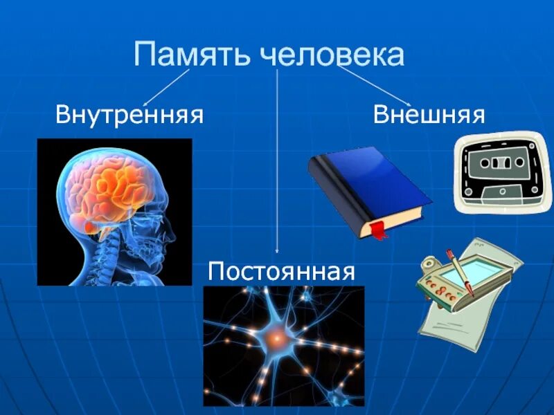 Как раскрывается тема памяти. Память человека. Презентация на тему память. Презентация на тему память человека. Слайды на тему память.