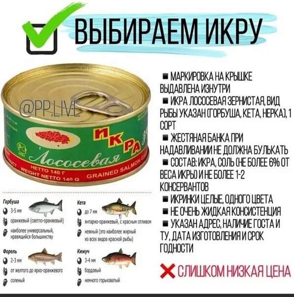 Как должна выглядеть икра Как правильна выбрать красную икру. YouTube