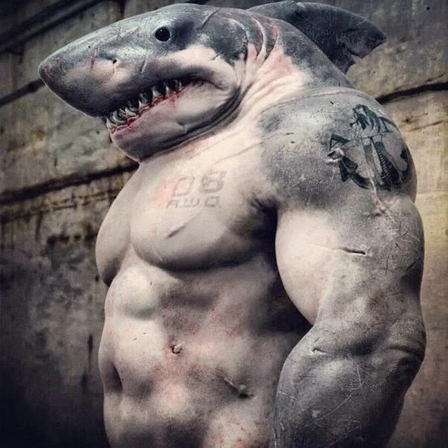 Рыба качок. Акула качок. Shark human