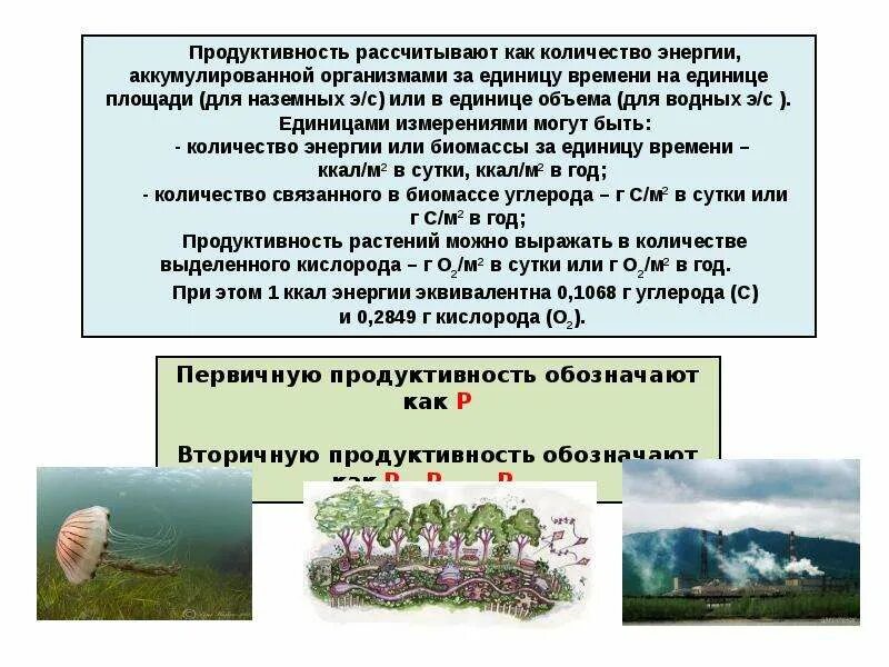 Продуктивность агроэкосистемы. Первичная продукция экосистемы. Первичная продукция биогеоценоза. Пути повышения продуктивности агроэкосистем. Последовательность увеличения биологической продуктивности природных зон