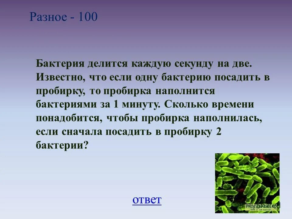 Бактерия делится на две бактерии. Бактерия каждую секунду делится на 2 бактерии а супербактерия на 8. Каждая бактерия делится на две в течение. Бактерия делится на две. Каждую секунду бактерия делится на две новые.