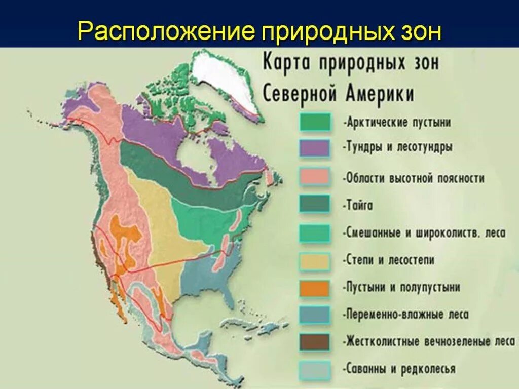 География 7 класс параграф 44 северная америка. Карта природных зон Сев Америки. Карта природных зон Северной Америки. Карта природных зон Северной Америки 7 класс география. Климатические пояса и природные зоны Северной Америки.