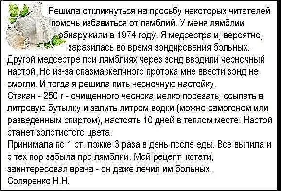 Чеснок от глистов как принимать. Рецепт от лямблий. как чеснок влияет на лямблии. лямблии народные средства.