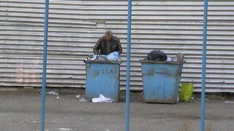 Кто рылся в мусорном ведре