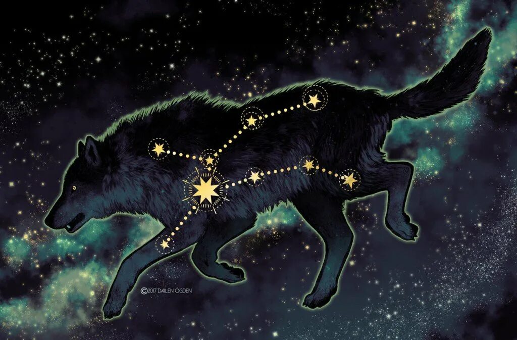 Созвездие зверей. Волк (Lupus) созвездия. Созвездие Лупус. Созвездие волк мифология. Самые яркие звезды созвездия волк.