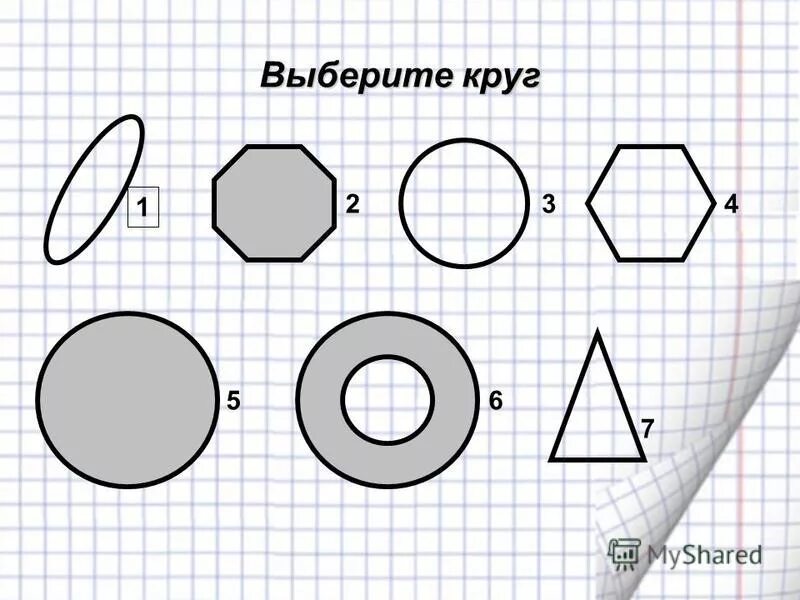 Задание по теме круг