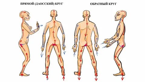 Обратно круга