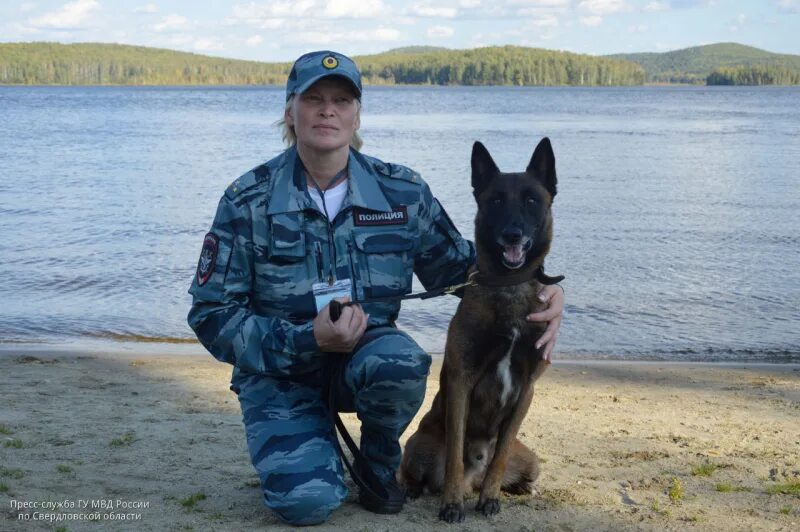 Кинологи свердловская область. Кинологи свердловская область. Кинологи свердловская область. Форма кинолога полиции. Кинолог с собакой.