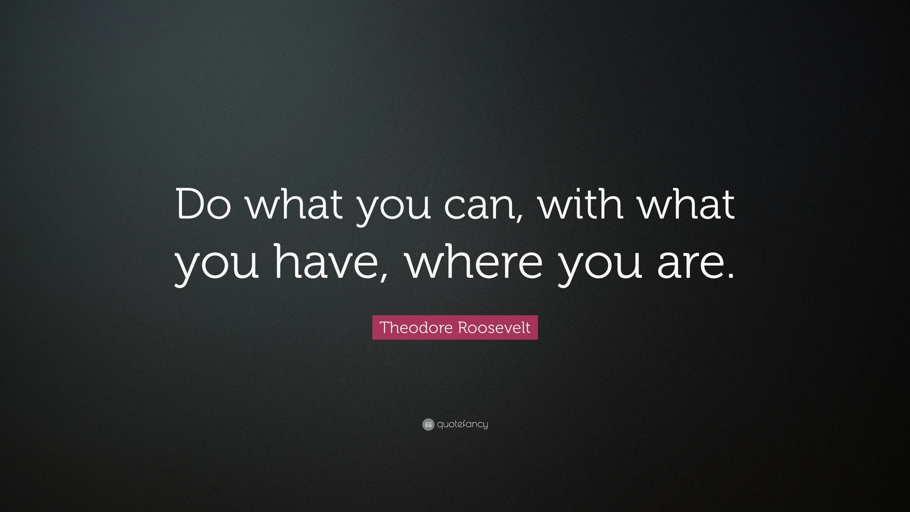 You can say what you like. Do what you can with what you have where you are. Theodore Roosevelt do what you can. What can you do. What can you do картинки.