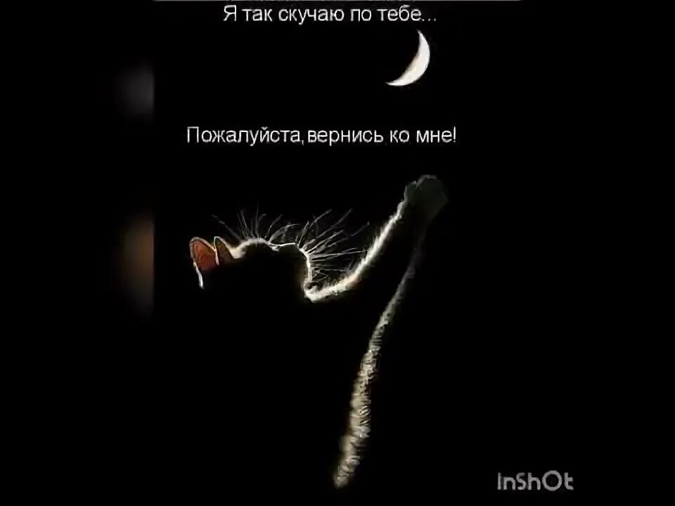 Я так соскучилась по тебе сестренка. Я люблю тебя сестренка. Картинки я скучаю. Я так соскучилась по тебе сестренка. Стихи я по тебе скучаю очень любимая.