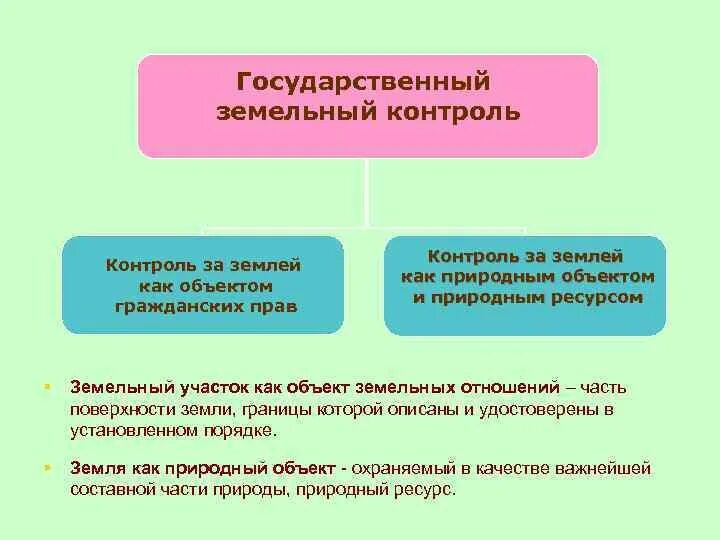 Полномочия земельного надзора. Формы государственного земельного контроля. Охрана земель. Уплата таможенных пошлин. Осуществление государственного земельного надзора.