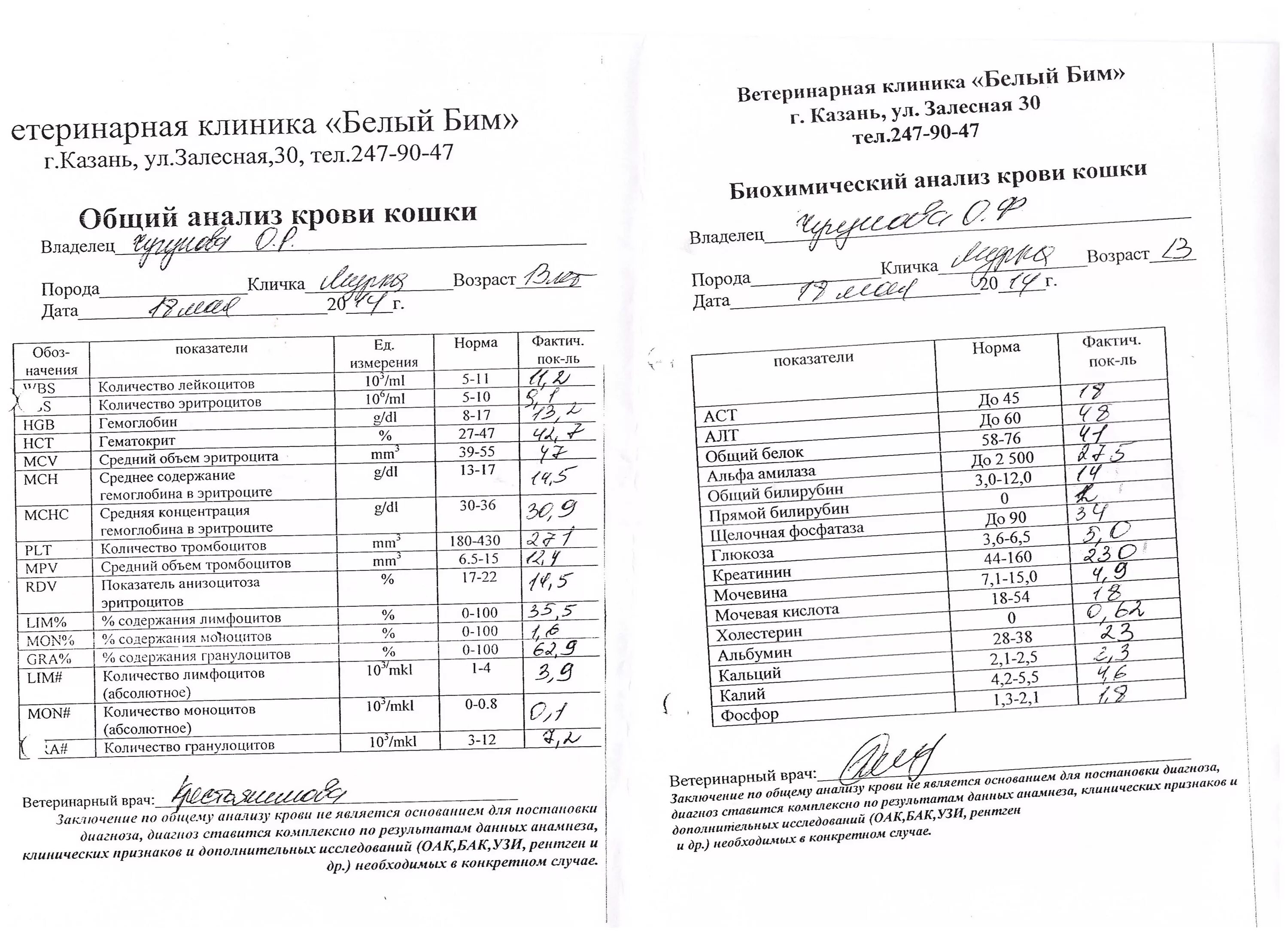 Показатели клинического анализа крови при лимфоме. Лимфома анализ крови показатели у взрослых. Кровь при лимфоме показатели крови. Биохимический анализ крови при лимфомах.