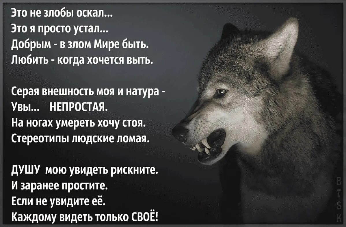 Устал быть добрым. Волком выть хочется. Иногда хочется выть волком. Хочется выть от боли. Когда хочется выть волком.