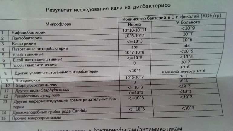 Бифидобактерии в кале. Клебсиелла в Кале у взрослого норма. Норма клостридий в Кале у взрослого. Норма клостридий в Кале. Клостридии в Кале норма.