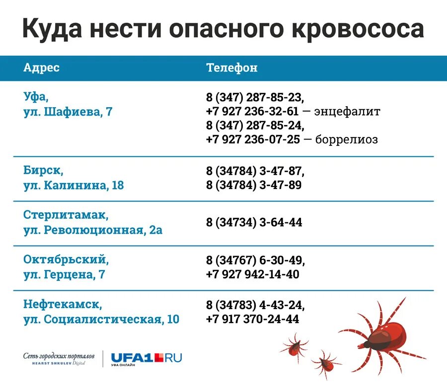 Укус клеща сдать анализы. Анализы на боррелиоз и клещевой энцефалит. Анализ на исследования клеща. Где сдать клеща на анализ. Где принимают клещей на анализ.