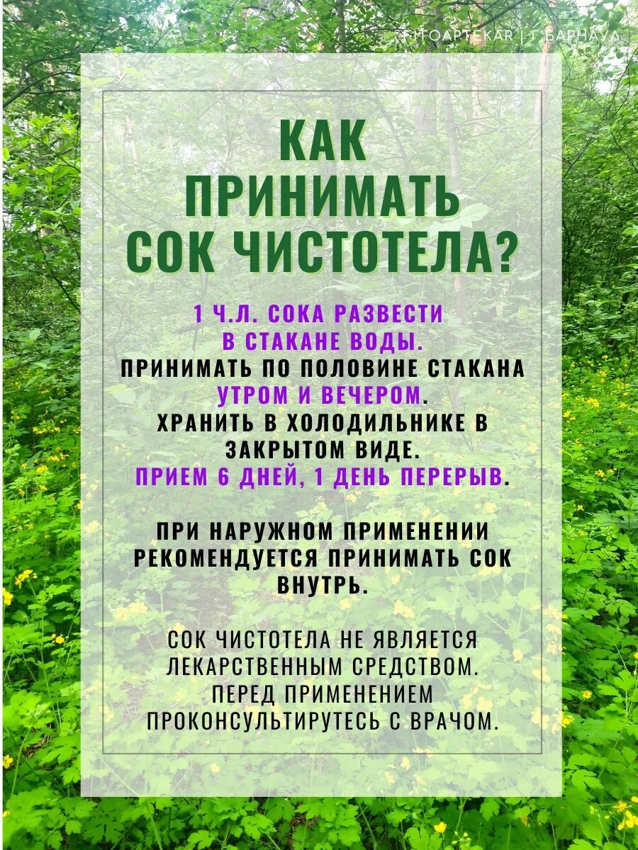 Сок чистотела применение. Живой сок чистотела. Сок чистотела для приема внутрь. Как принимать сок чистотела. Как принимать чистотел внутрь