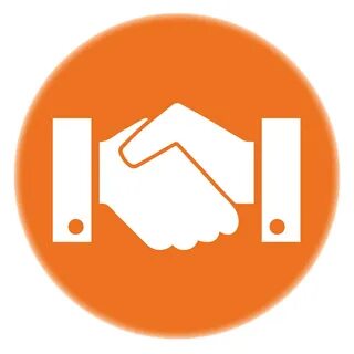 Опыт работы сайтом