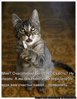 Ладно пока