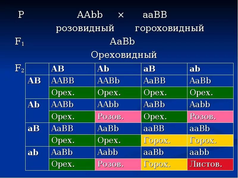 Aabb aabb соотношение генотипов. AABB AABB. AABB Х AABB. AABB X AABB генотип. AABB AABB расщепление.