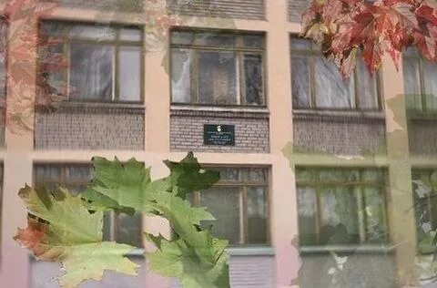 Сайт лицея 273 металлострой