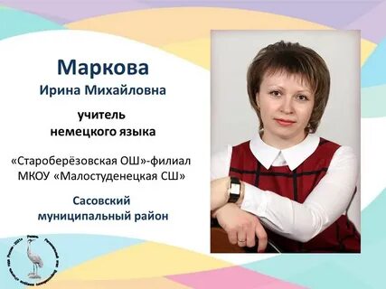 Сайт педагога года
