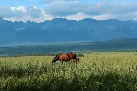 Ландшафты оопт