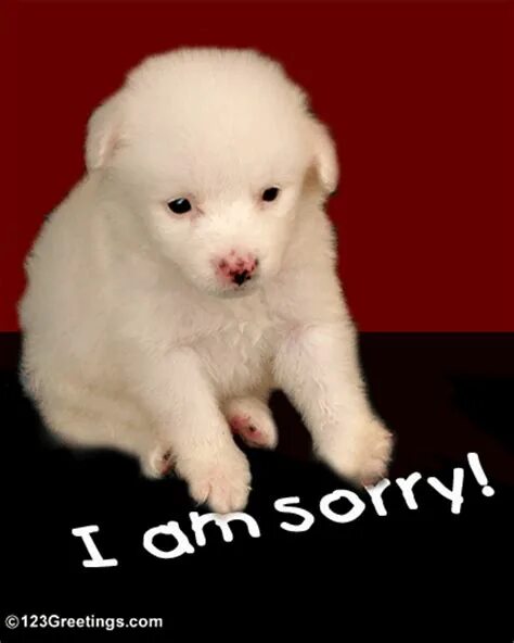 Really sorry for your. Sorry картинка. I am sorry. I am sorry картинки. Окрас sorry.