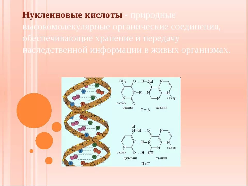 Нуклеиновые кислоты выделяют