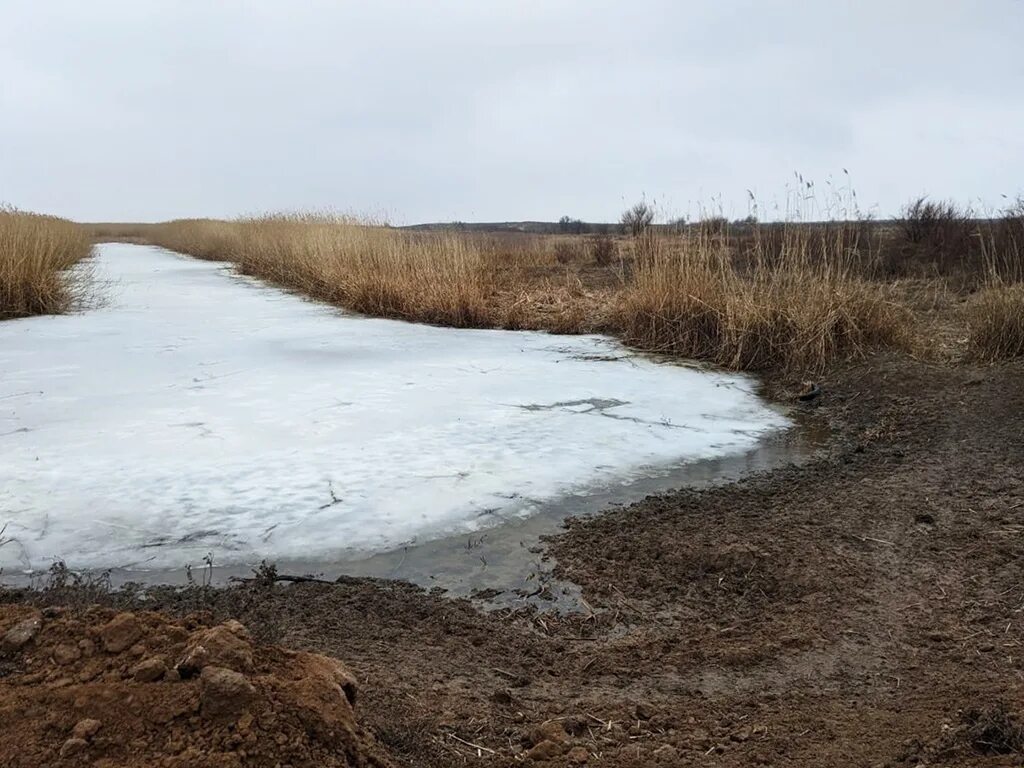 Западные подстепные ильмени. Подстепные ильмени Астраханской области. Река Ильмень Астраханская. Паводок. С ильмень озера ребятня возвращалась