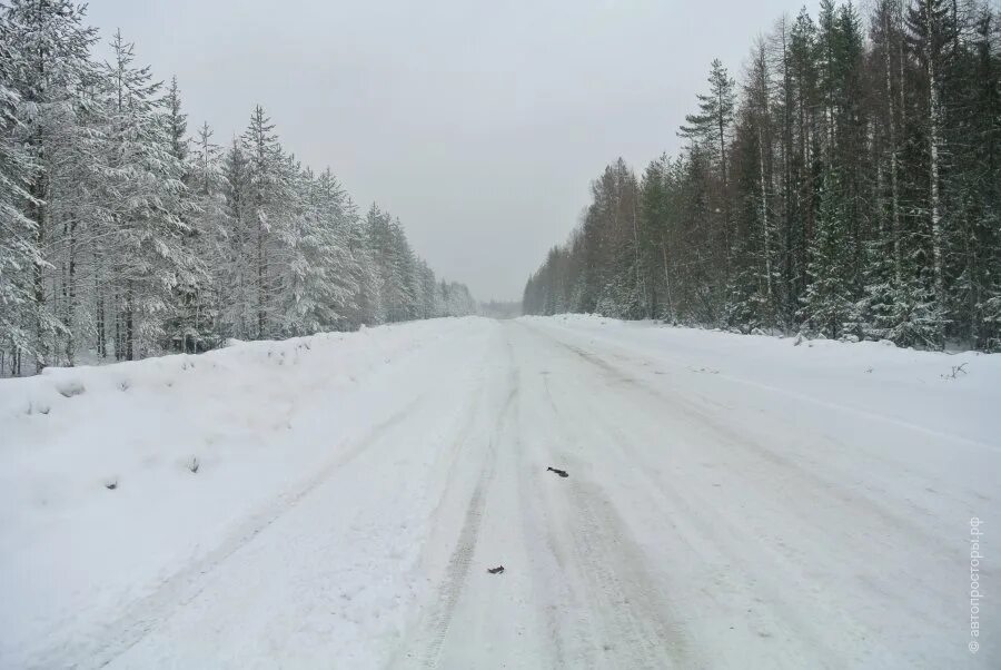 Дорога пудож каргополь