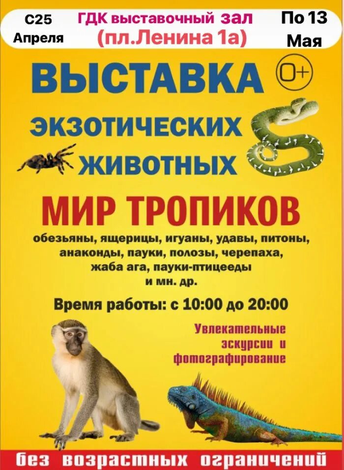 Выставка экзотических животных верещагино. Выставка экзотических животных сыктывкар. Выставка экзотических животных. Выставка экзотических животных. Выставка экзотических животных хабаровск.