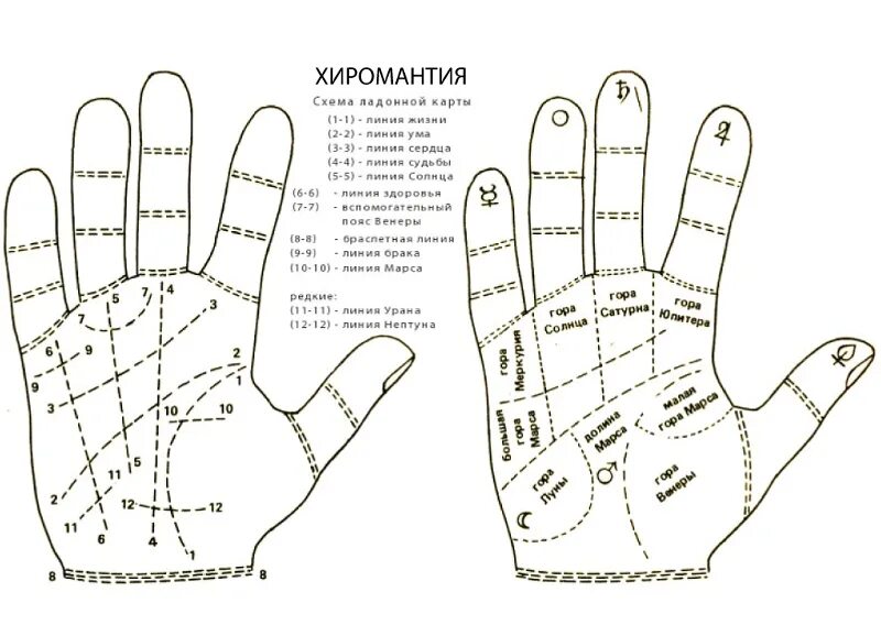 Ладонь хиромантия. Рука хиромантия схема. Хиромантия схема линий на руке. Схема ладони в хиромантии. Основные линии на ладони в хиромантии.
