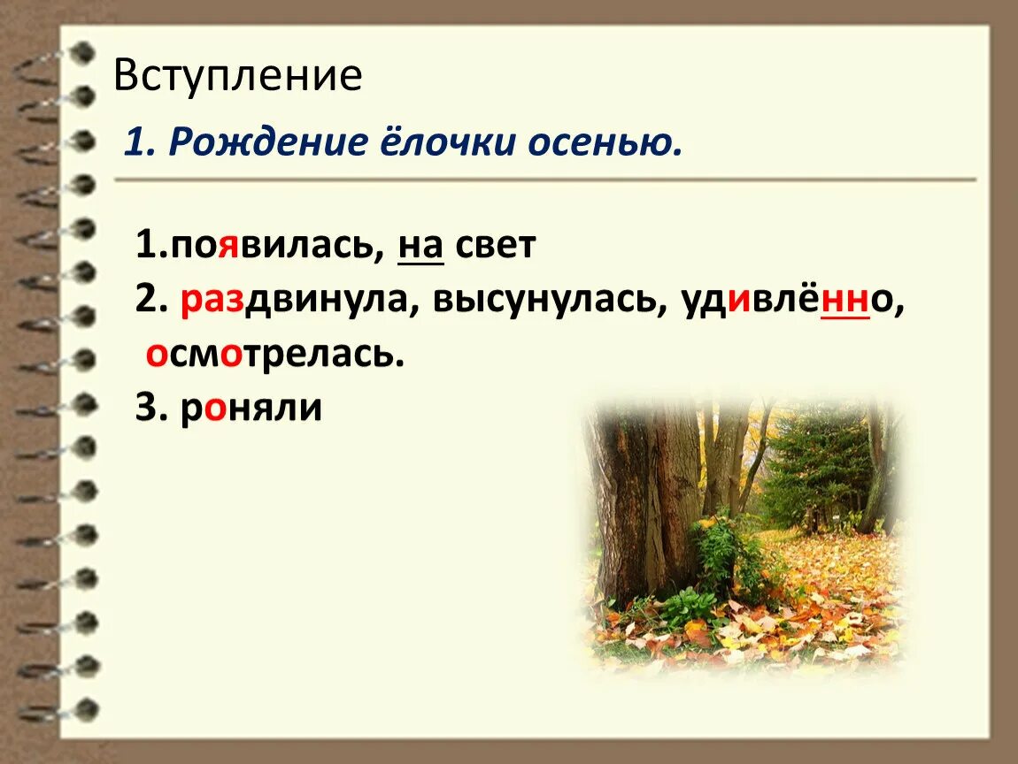 Осенняя елочка изложение 3. Осенняя елочка изложение. Текст на свет появилась елочка. Весной елочки не было летом не было а осенью вдруг появилась. Осенняя ёлочка найти глаголы.