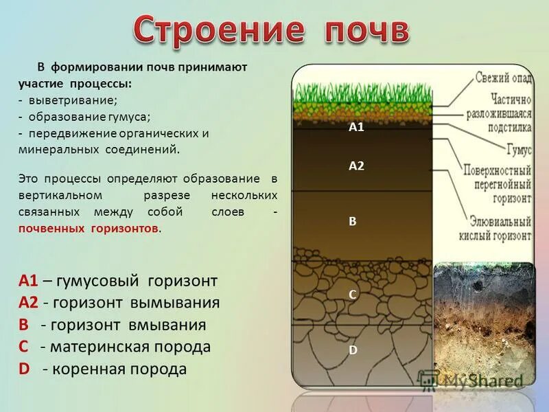 В чем состоит отличие почвы от горной. Схема формирование почв. Образование гумуса в почве. Процесс формирования почвы. Почва формируется.