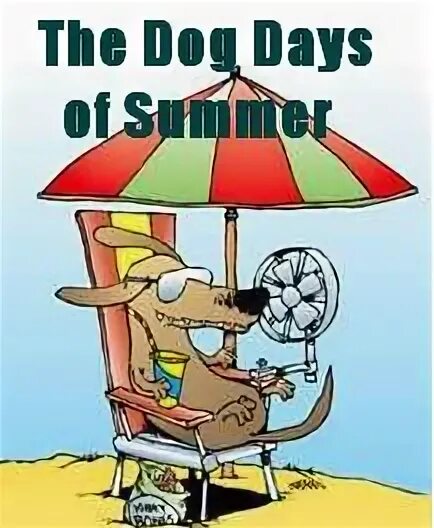 Переведи на русский dog day. Dog Days идиома. Summer idioms. Dog Days of Summer. Dog Days перевод идиомы.
