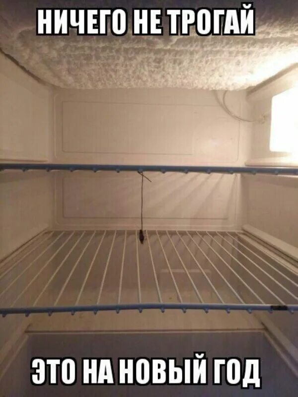 Я ничегомне трогала оно само. Ничего не трогай. Нетрож это на новый год мем. Ничего не трогай. Холодильник мем.