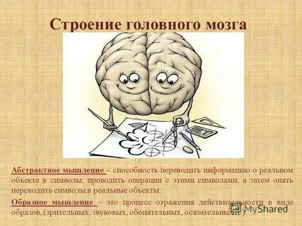 Головной мозг презентация