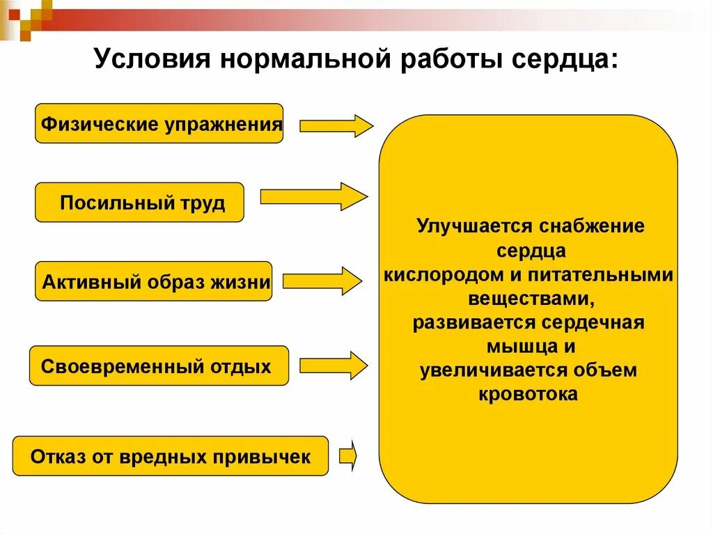 Условия нормальной работы сердца. Назовите условия нормальной работы сердца. Условия необходимые для работы сердца. Какие условия работы.