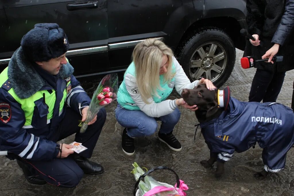 Комбинезон для собак дпс. Полицейский с собакой. Собака гаишник. Собачка полицейский. Собака в фуражке.