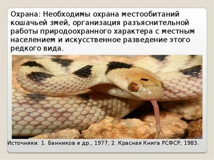 Змеи красной книги