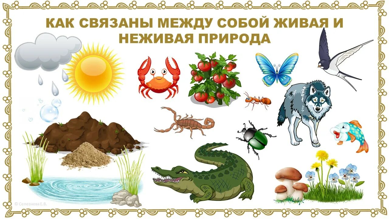 Называется изображение неживой природы как живого существа