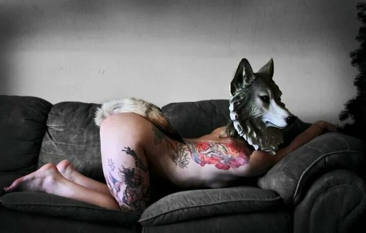 File:Korean wolves mating (cropped).jpg Wikipedia