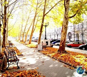 Утро осень город