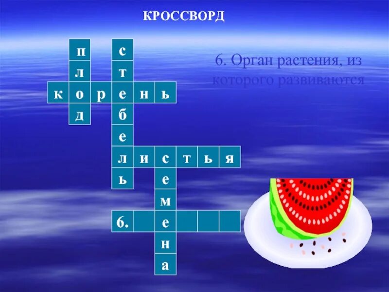 Кроссворд на тему растения. Кроссворд на тему органы растений. Кроссворд по теме растения. Кроссвордыпл окружающему миру. Кроссворд на тему дыхание биология 6 класс