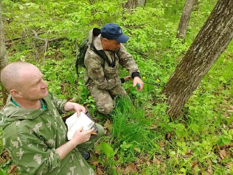 хабаровск лесхоз лесная охрана сосновка. дфо лесное хозяйство. гектар в дфо безвозмездно картинки. дфо лесное хозяйство. дфо лесное хозяйство.