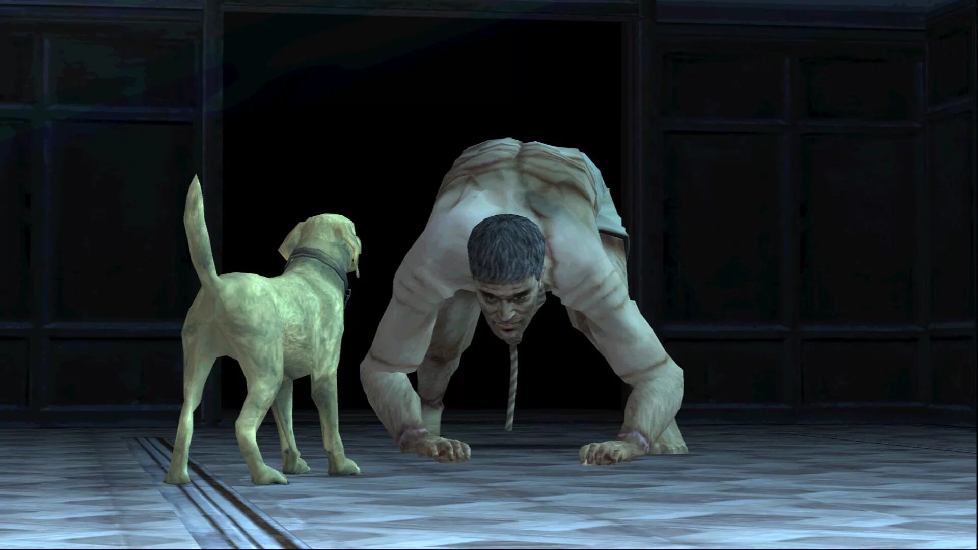 Rise of rule. Rule of rose игра. rule of rose ps2. rule of rose собака. rule of rose грегори.