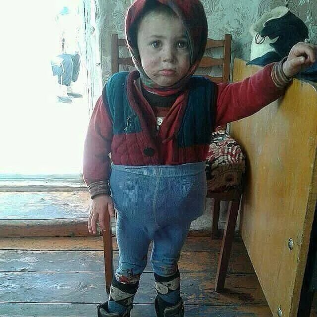 К бабушке в деревню отвезли на лето
