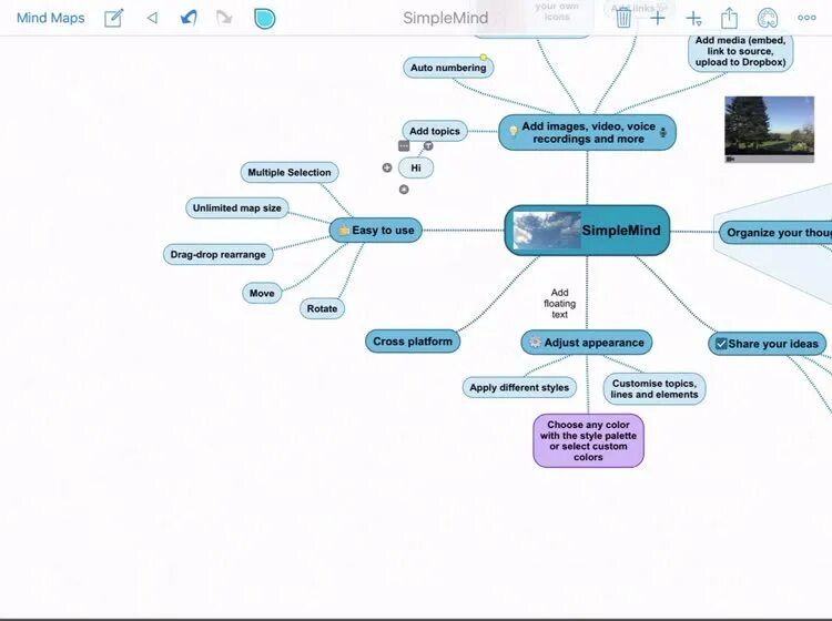 Mind map приложение. Интеллект карты simple mind. ментальная карта приложение. ios ментальные карты. ментальная карта эксель.